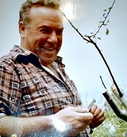ariano